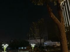-西北湖绿化广场