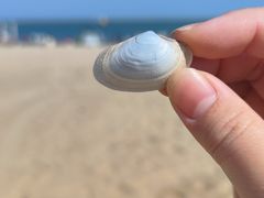 -天津东疆湾沙滩景区