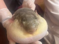 -永安鱼庄·镇江菜(丁卯店)