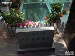 -北京路步行街-千年古道遗址