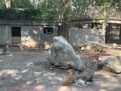 -成都动物园