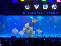 -泉城欧乐堡海洋极地世界