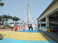 -秦皇岛乐岛海洋王国