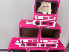 -静宜和她的朋友(星海广场店)
