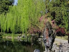 -西湖外事游船(花港观鱼码头)