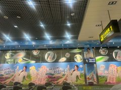 -丽江三义国际机场