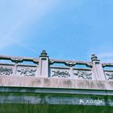 十字港河也有春天