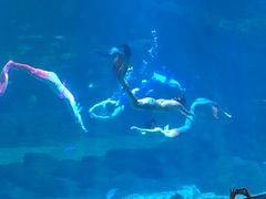 -福州罗源湾海洋世界旅游区