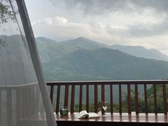 -三亚亚龙湾人间天堂鸟巢度假村