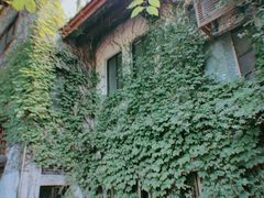 -中国茶叶博物馆(双峰馆区)