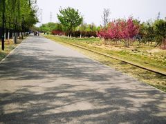 -永定河休闲森林公园