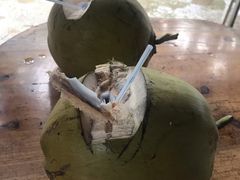 -东郊椰林
