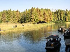 -溱湖国家湿地公园