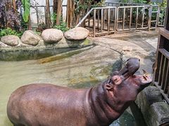 -宁波野生动物园