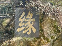 -惠山国家森林公园