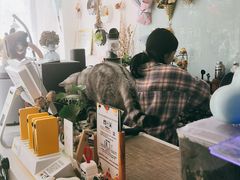 -平行世界·猫咖(首经贸店)
