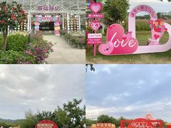 -盈香心动乐园