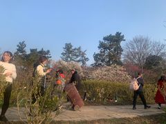 -紫霞湖公园