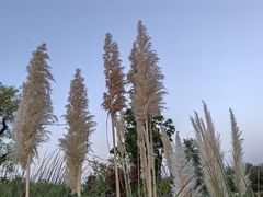 -汉长安城未央宫国家考古遗址公园