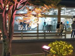 -轻井泽王子购物广场
