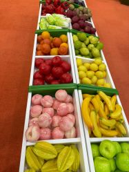 -莫莉幻想儿童乐园(长春迅驰广场店)