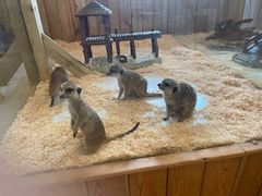 -珠海海泉湾神秘岛亲子乐园