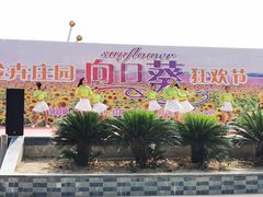 -金卉庄园
