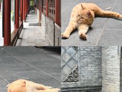 -万寿八仙宫