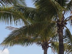 -三亚西岛海洋文化旅游区