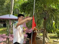 -灵玲国际马戏城