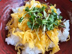 -鳥取砂丘会館
