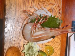牡丹虾-千代武日本料理(爱建店)