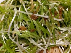 凉拌空心菜苗-品粹徽园·家常安徽菜