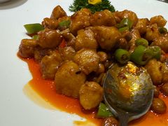 -品味居·首店·大连鲜活海鲜大连菜(东港店)