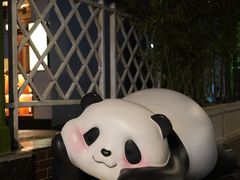 -轩客会(熊猫书店)
