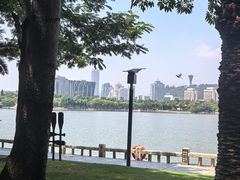 -厦门白鹭洲公园