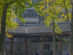 -孺子亭公园