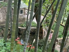 -莫干山风景区