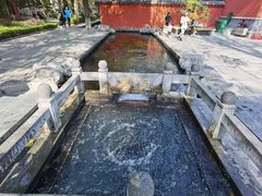 -百脉泉景区