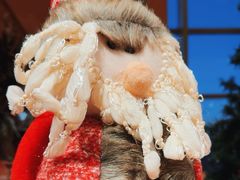 -视界美食自助餐厅·石家庄希尔顿酒店