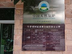 -牛背梁国家森林公园