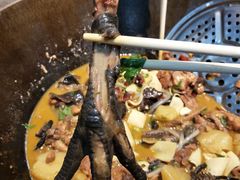 -袁小二大东北铁锅炖(吉祥村总部)