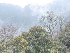 -青城山