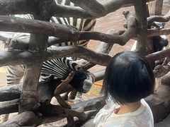 -长鹿旅游休博园