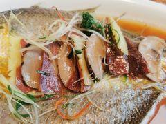 -香港狮子山下·明星粤菜餐厅(北苑店)