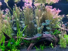 -上海海洋水族馆