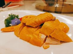 白切绍兴墩鸡-绍兴饭店(大宁店)