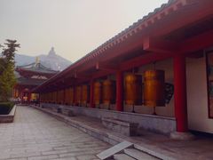 -龙口南山旅游景区