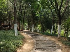 -佛慧山