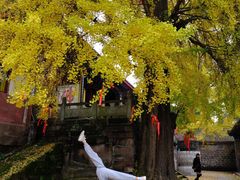 -金堂县云顶石城风景区